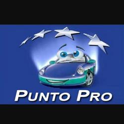 Autofficina Flli Borrello Srl unipersonale