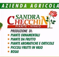 Azienda Agricola Checchin Sandra