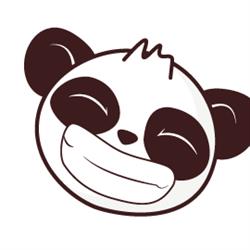 Panda Studio Web Agency