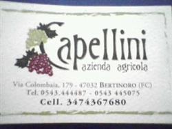 Capellini Az.Agr.Bertinoro