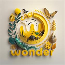 Wonder - Centro giovani