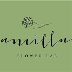 Ancilla