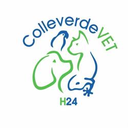 Clinica Veterinaria Colleverde Vet H24