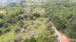 Associazione Cinofila Gli Antichi Etruschi