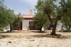 La Matrinodda