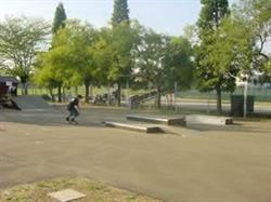 HOT ROD SKATEPARK SPILAMBERTO