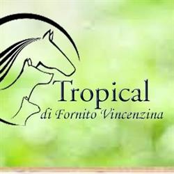 Tropical