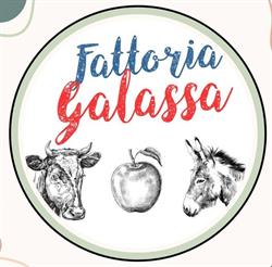 Bottega La Galassa