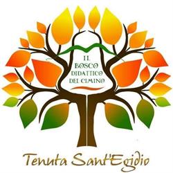 Il Bosco Didattico Del Cimino - Tenuta Sant'Egidio