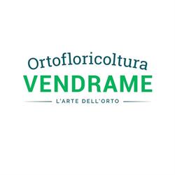 Ortofloricoltura Vendrame - Produzione piante da orto, piante aromatiche e fiori