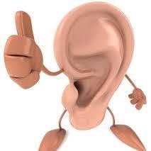 Audiomaxsordita
