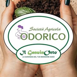 Odorico - Il GenuinOrto