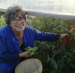 Frutta e verdura a km zero