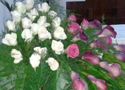 Fiori & Piante Russo Andrea