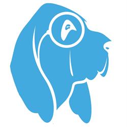 Pet Detective Italia