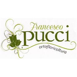 Ortofloricoltura Francesco Pucci
