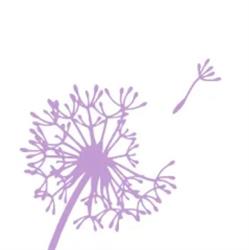 Il Soffio - Erboristeria