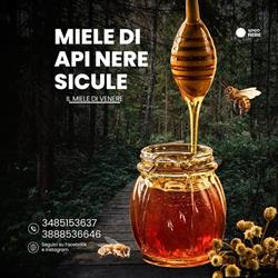 Il Miele Di Venere