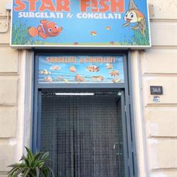 Star Fish