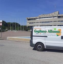 Azienda Agricola Alfonso Gagliano