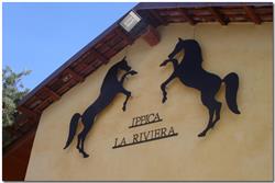 Aid La Riviera