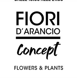 Fiori D'arancio Fioristi