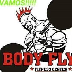 Palestra Body Fly