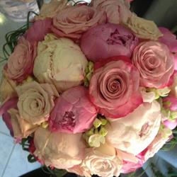 Arteinfiore