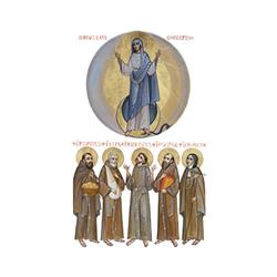 Provincia Serafica Immacolata Concezione OFM Cap.
