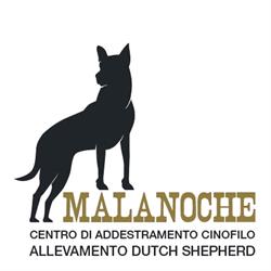 Asd Malanoche centro di addestramento cinofilo