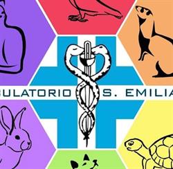 Ambulatorio veterinario 'S. Emiliano' Dott. Coratti Valerio