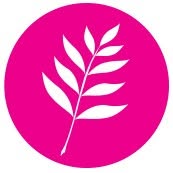 TOMEI Design & Interiors