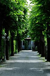 B&B Allea dei Tigli