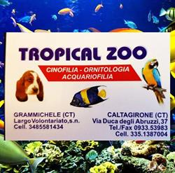 Tropical Zoo Di Piccolo Maria Rosa