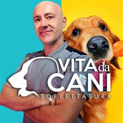 Toelettatura VdC