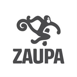 Zaupa S.R.L. - Servizio Taxi, NCC e Autobus