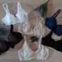 Il mondo Amourette Triumph