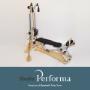 StudioPerforma_GyrotonicPulleyTower