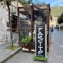 Gallery Professionale