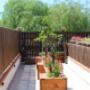 Gallery Professionale