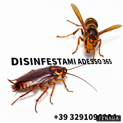 Disinfestami Adesso 365