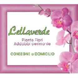 Lella Verde Fiori e Piante
