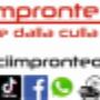 Insegna