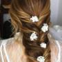 Gallery Professionale