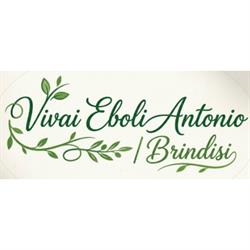 Vivai Eboli Antonio