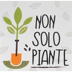 Garden Non Solo Piante