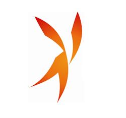 Gruppo Praim Srl