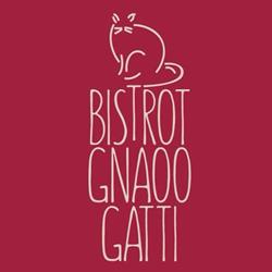Gnaoo Gatti Bistrot