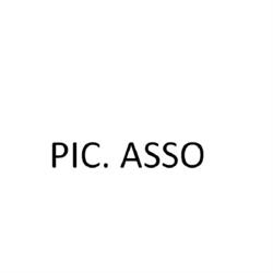 pic.asso