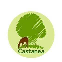 APS Castanea